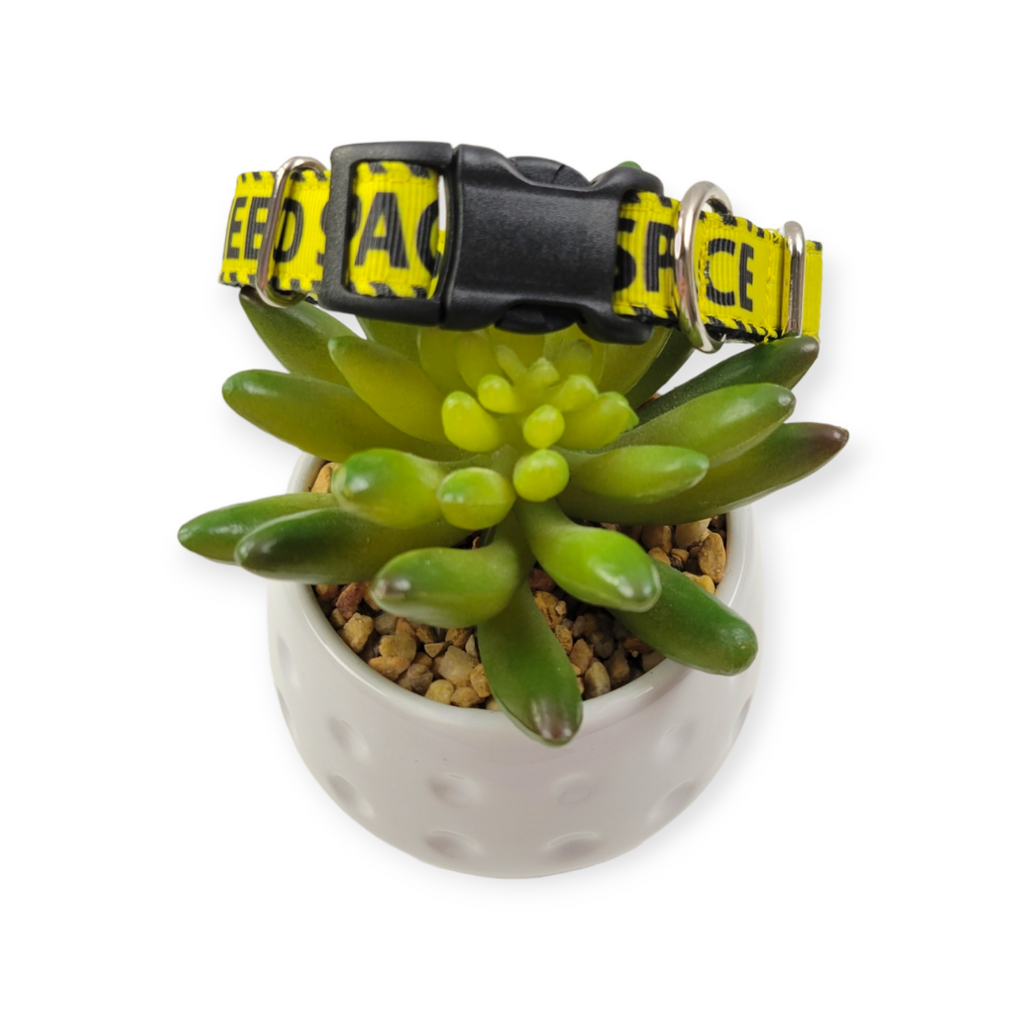 I Need Space Dog collar (Small)