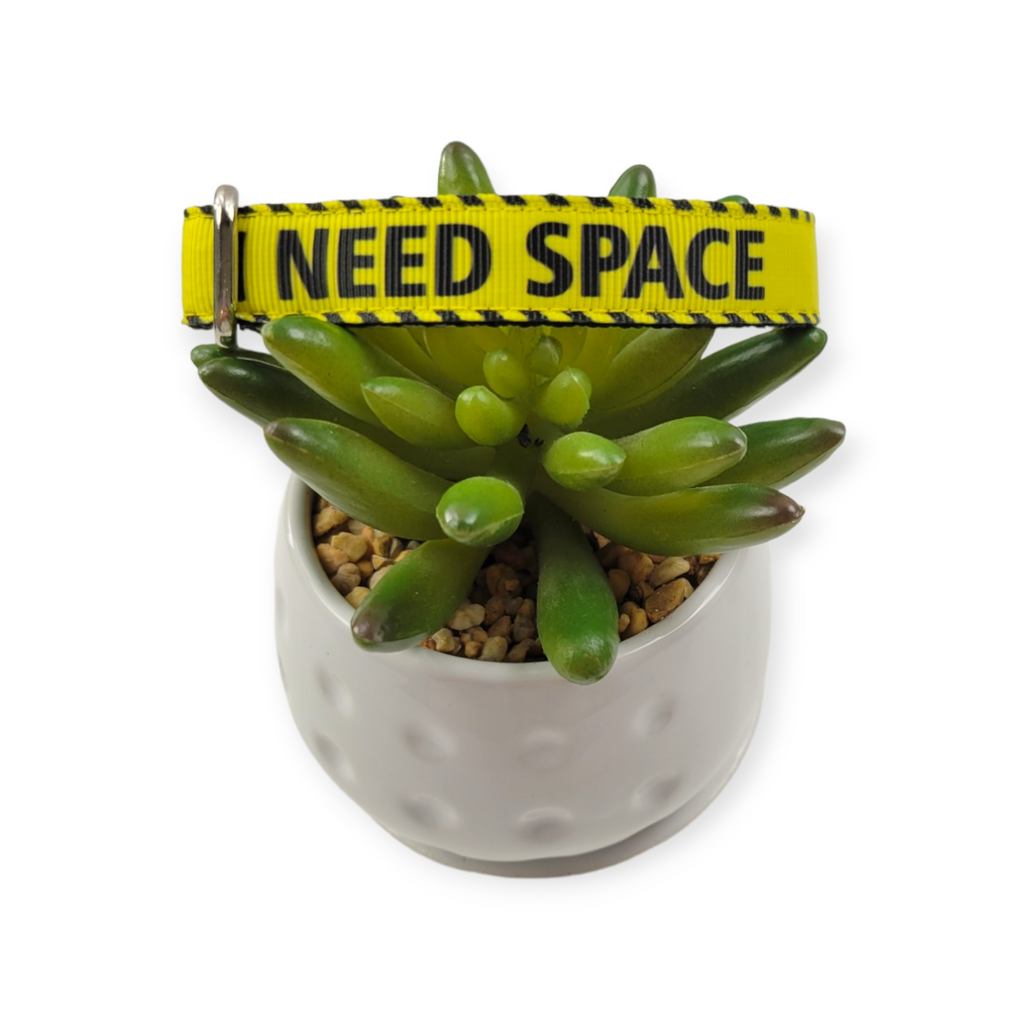I Need Space Dog collar (Small)