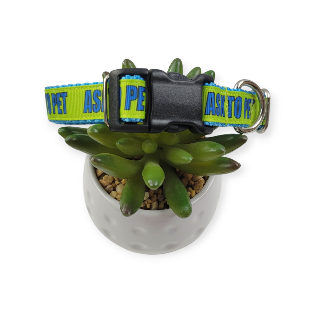 Ask to Pet (Green on Ice Blue) Dog Collar (Medium)