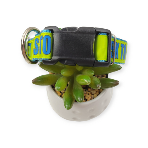 Ask to Pet Dog Collar (Medium, 1" wide)