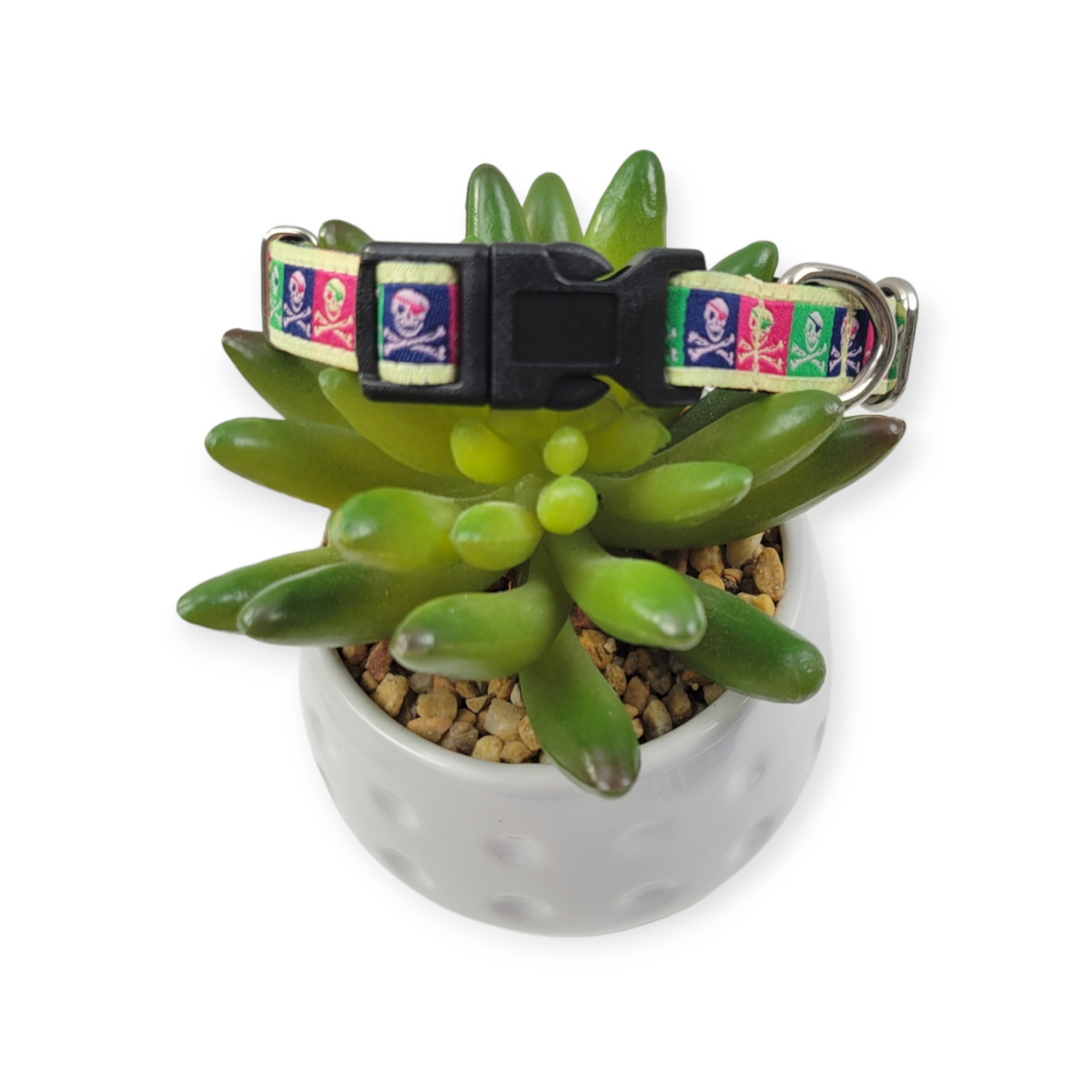 Jolly Roger Dog Collar (X-Small)