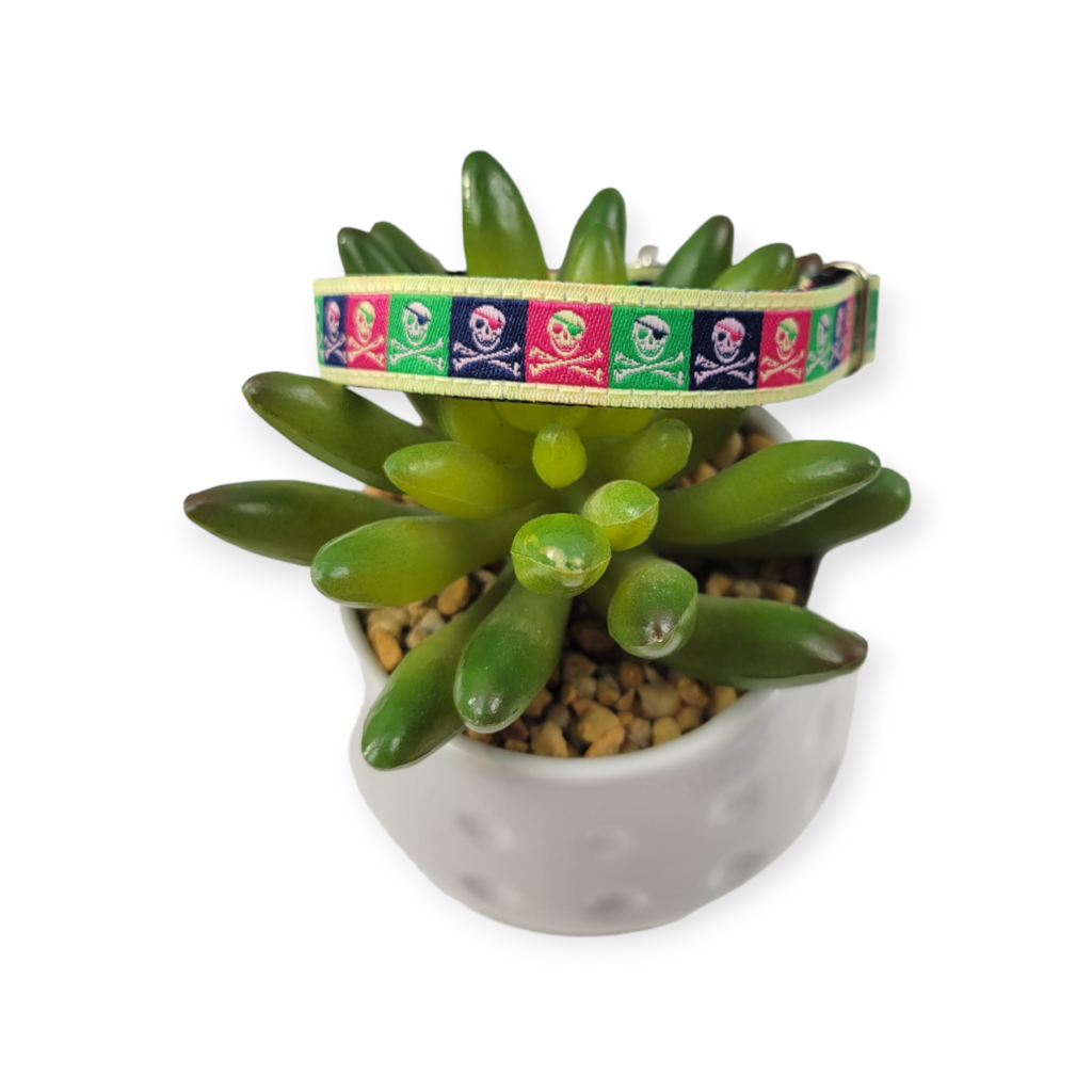 Jolly Roger Kitty Collar (X-Small)