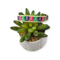 Jolly Roger Kitty Collar (X-Small)