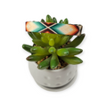 Sedona Arrows Kitty Collar (XX-Small)