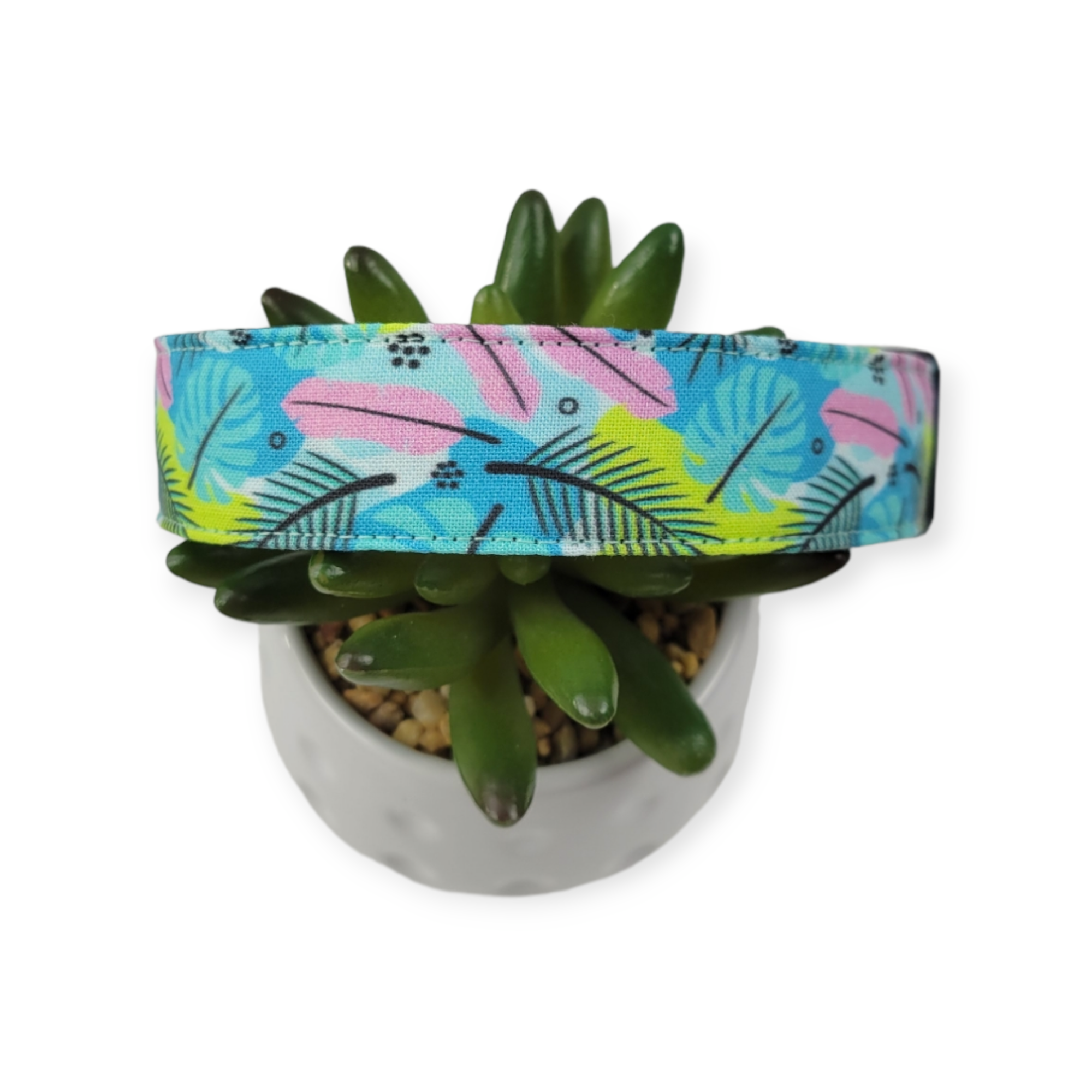 Malibu Tropics Dog collar (Large)
