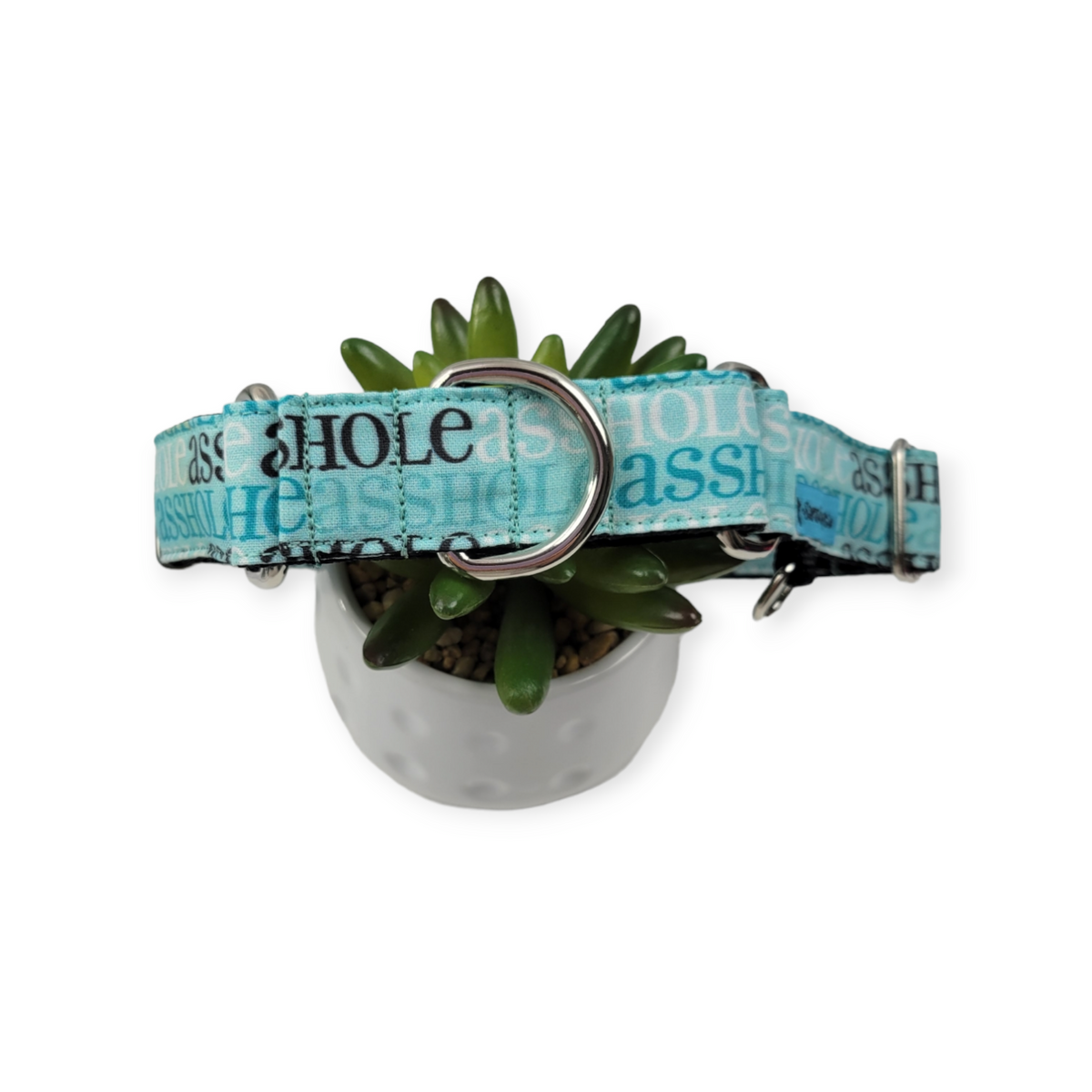 A$$hole on Aqua Martingale Dog Collar (Large)