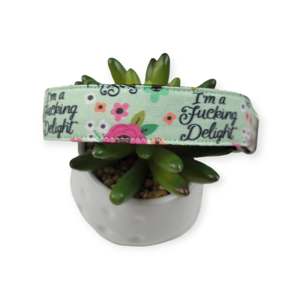 I'm a Delight Dog collar (Large)