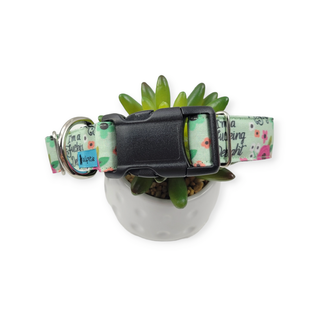 I'm a Delight Dog collar (Medium, 1" wide)