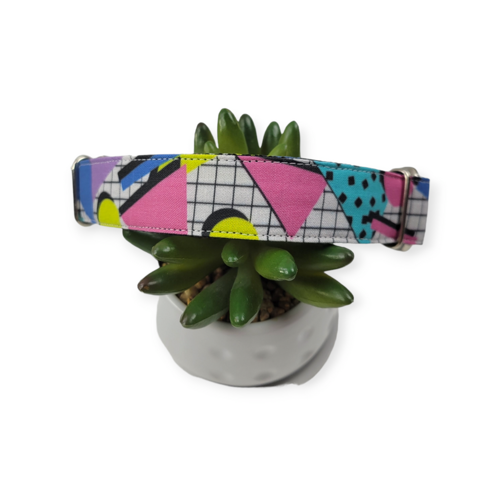 Totally Tubular Martingale dog collar (Medium, 1" wide)