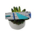 Totally Tubular Dog Collar (Large)