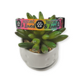 Rescued & Loved Dog collar (Small)