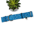 Ice Blue Paisley Martingale Dog Collar (Large, 1.5" wide)