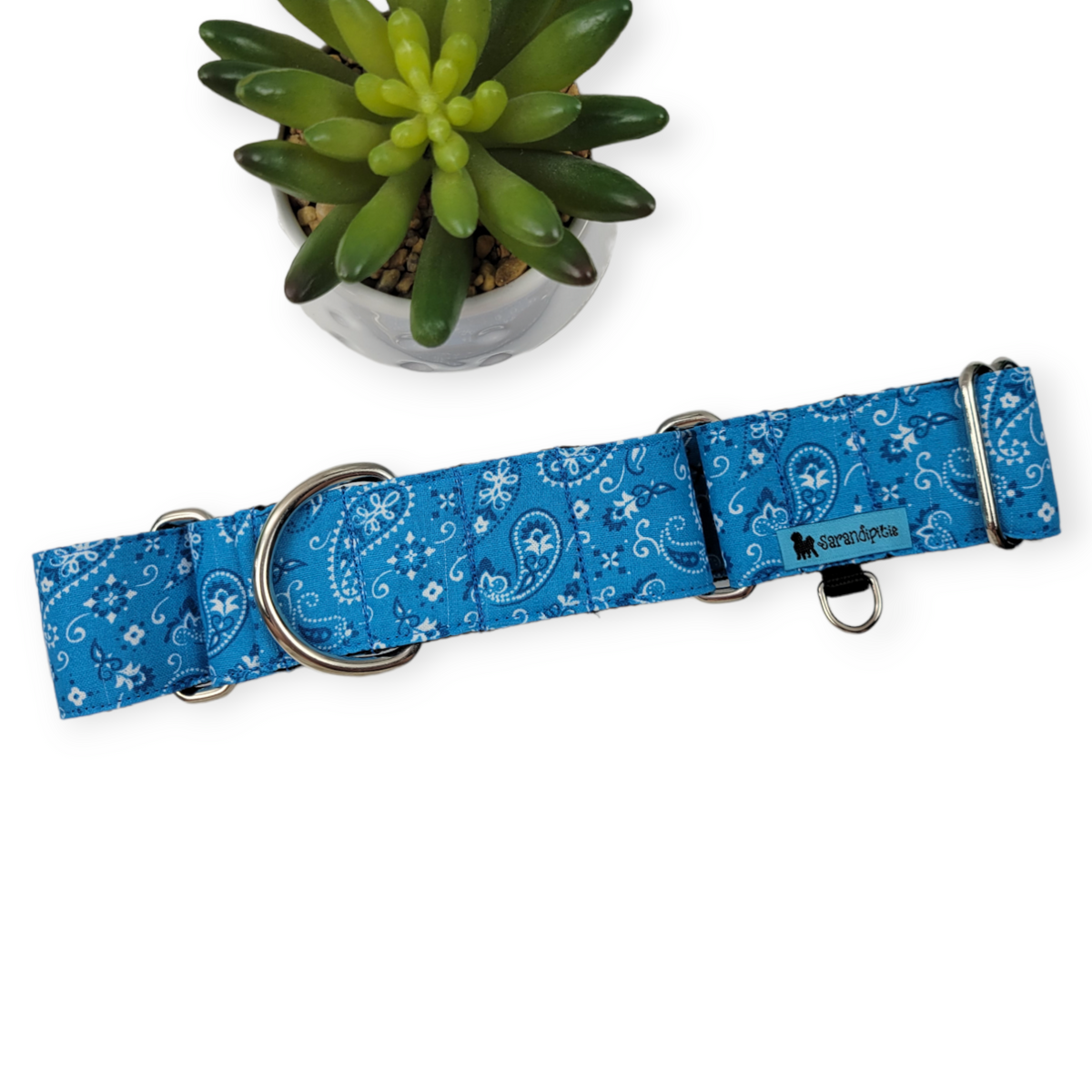 Ice Blue Paisley Martingale Dog Collar (Large, 1.5" wide)