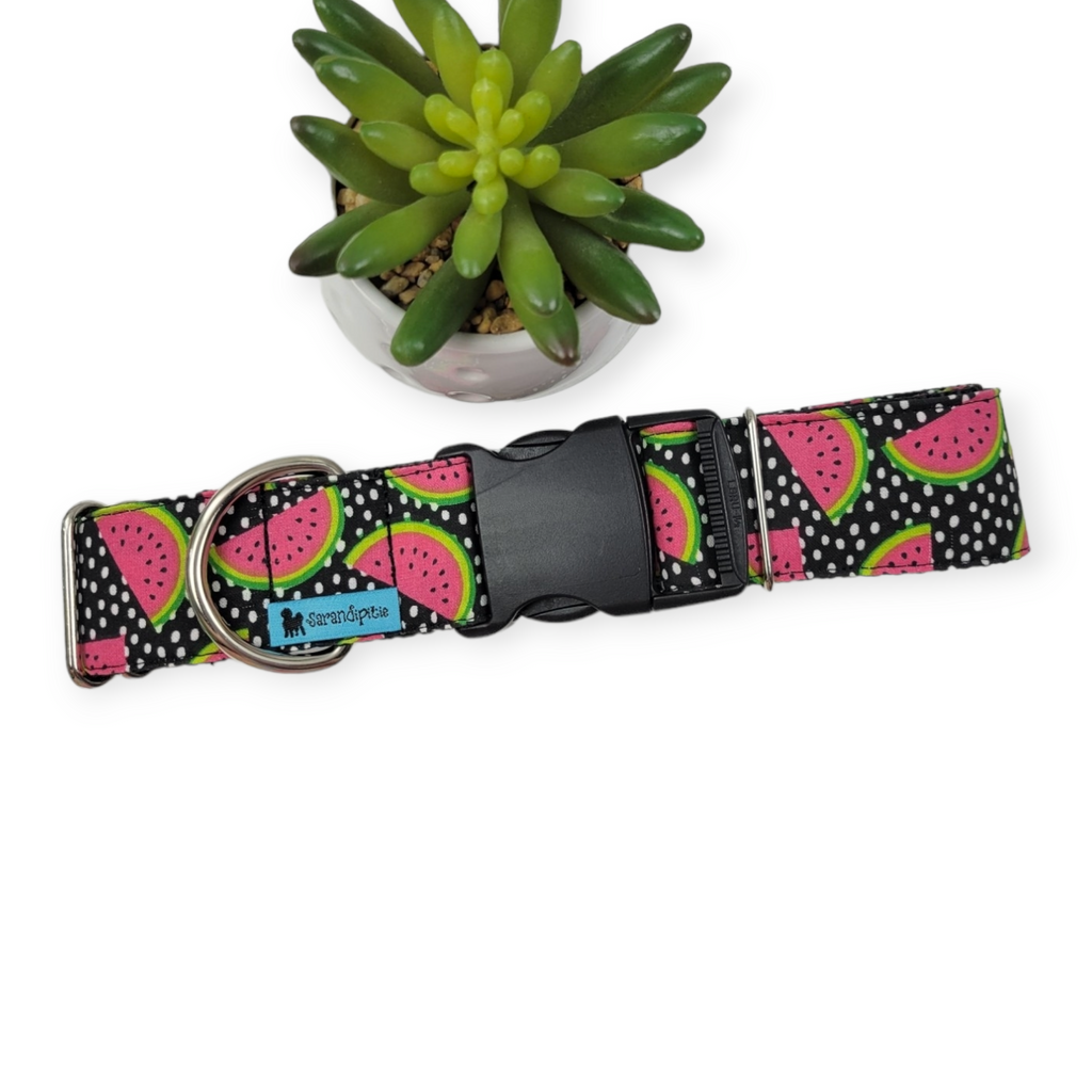 Watermelon Black Dog Collar (X-Large, 1.5" wide)