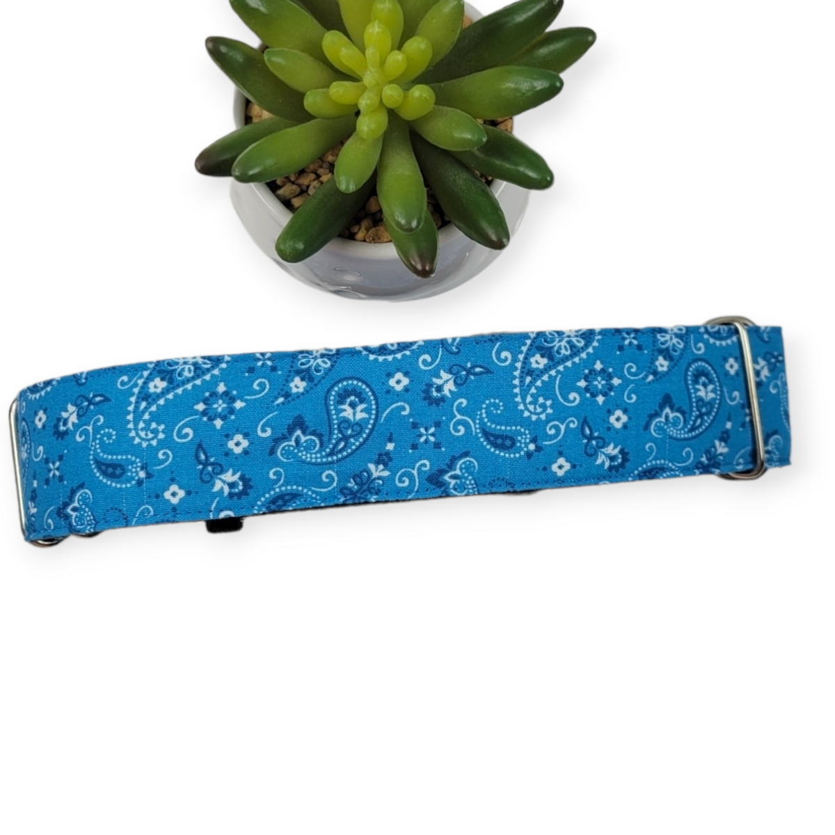Ice Blue Paisley Martingale Dog Collar (Large, 1.5" wide)