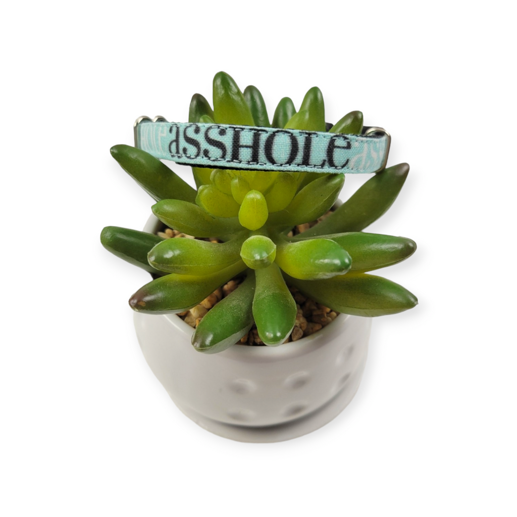 A$$hole on Aqua Dog Collar (XX-Small)