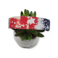 Tie Dye Star Stripe Patriotic Dog Collar (Large)