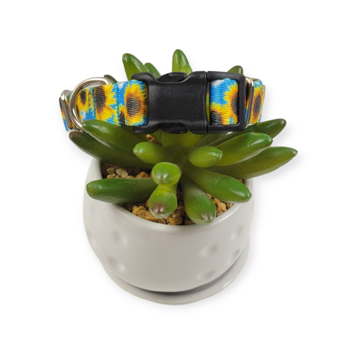 Sunflowers Dog collar (Small)