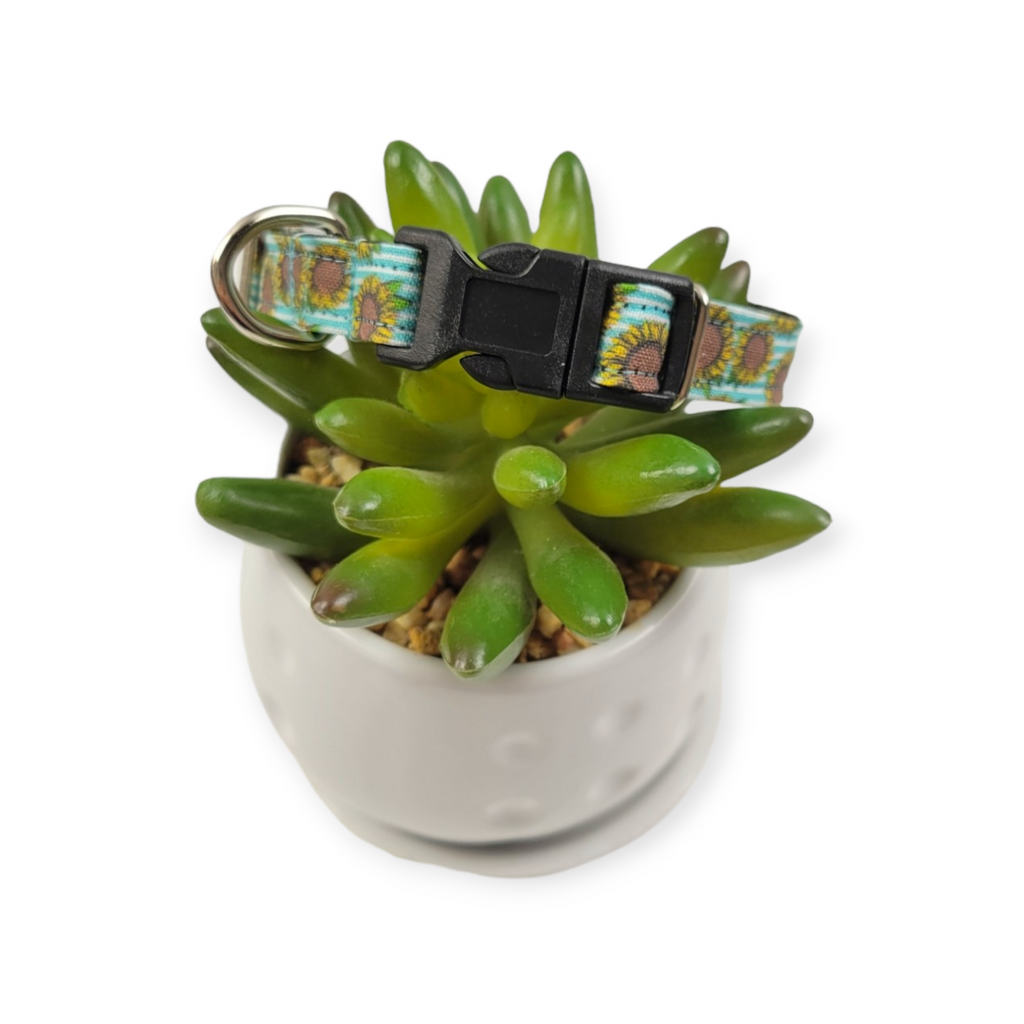 Sunflowers on Aqua Stripes dog collar (X-Small)