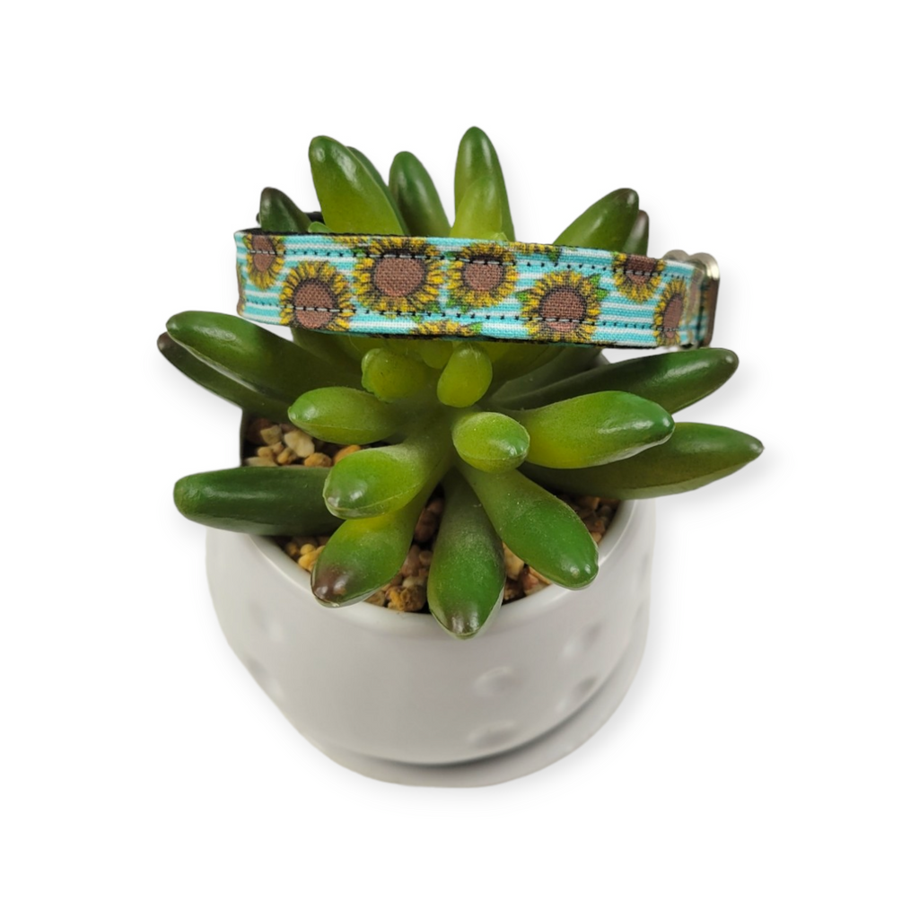 Sunflowers on Aqua Stripes dog collar (X-Small)