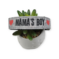 Mama's Boy Dog Collar (Large)