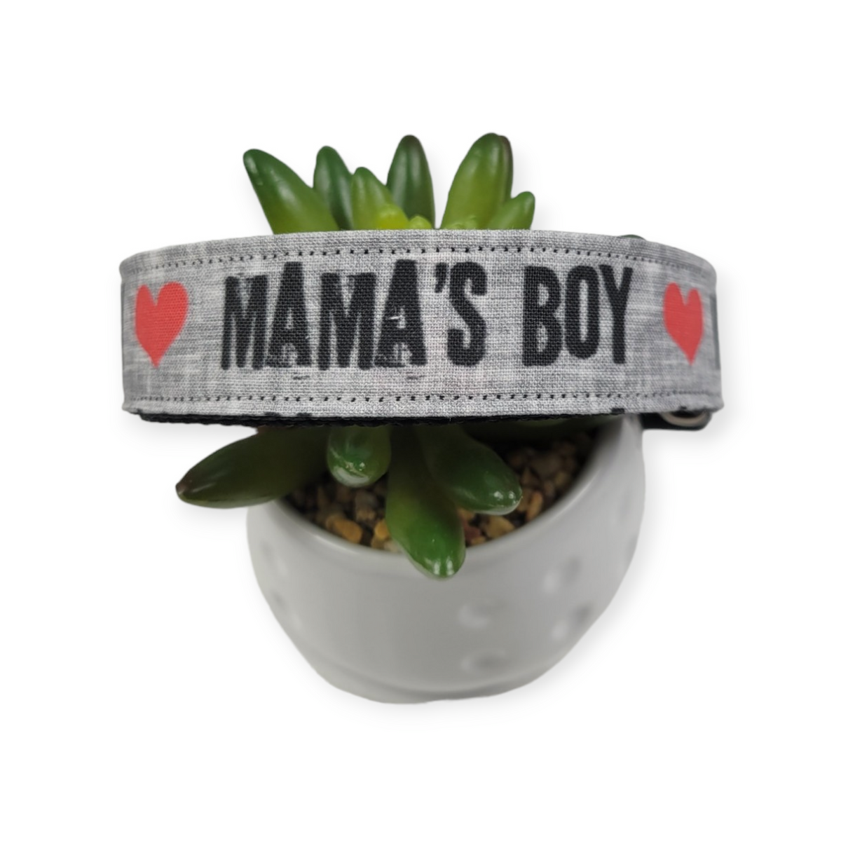 Mama's Boy Dog Collar (Large)