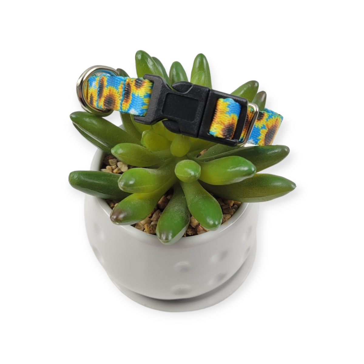Sunflowers Dog Collar (X-Small)