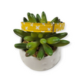 Yellow Mudcloth Kitty Collar (X-Small)