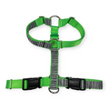 Beetlejuice SureFit Harness (Medium/Large)