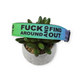 FAFO on Rainbow Dog Collar (Medium, 1" wide)