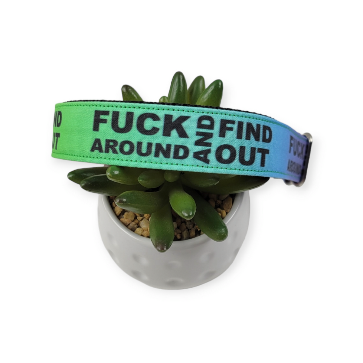 FAFO on Rainbow Dog Collar (Medium, 1" wide)