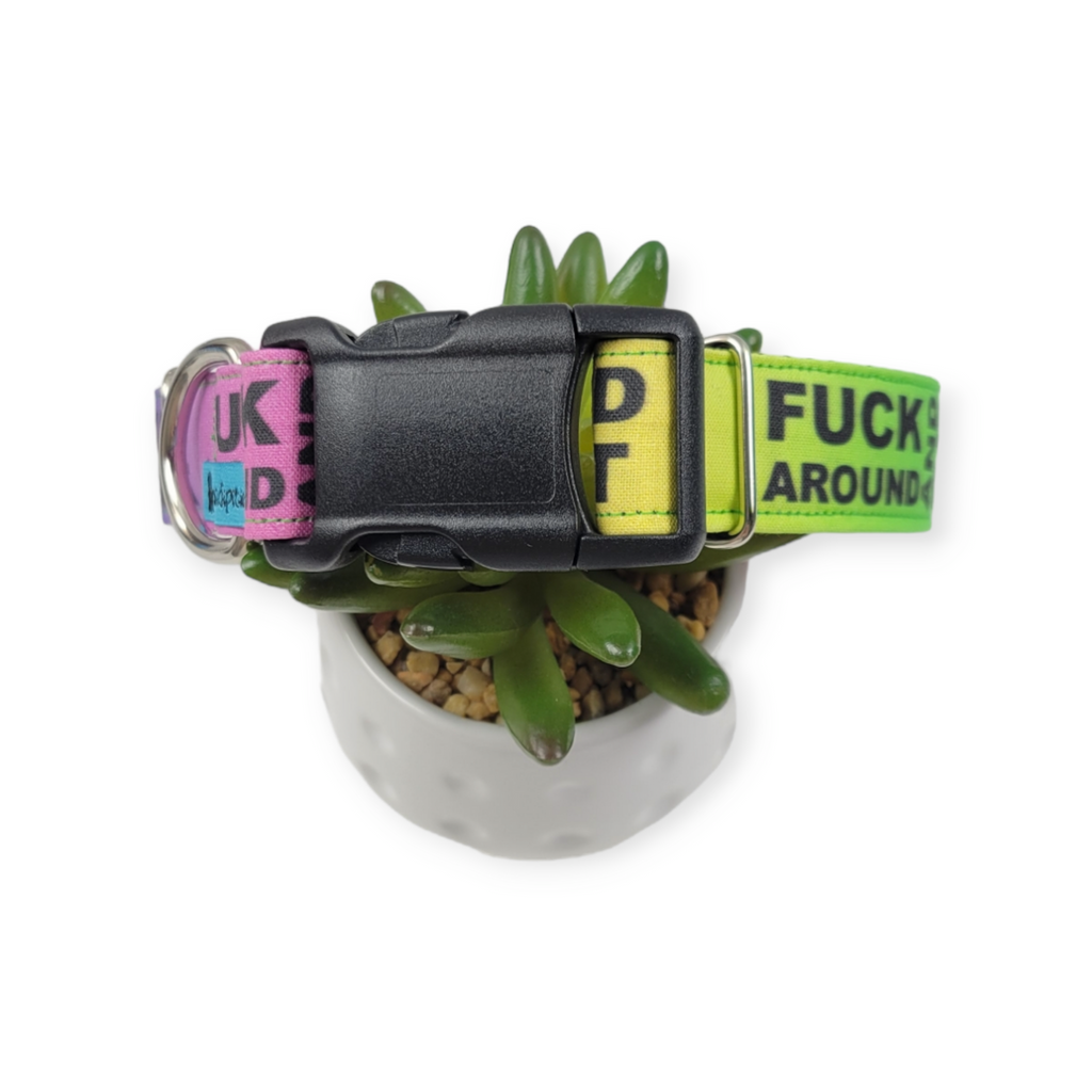 FAFO on Rainbow Dog Collar (Medium, 1" wide)