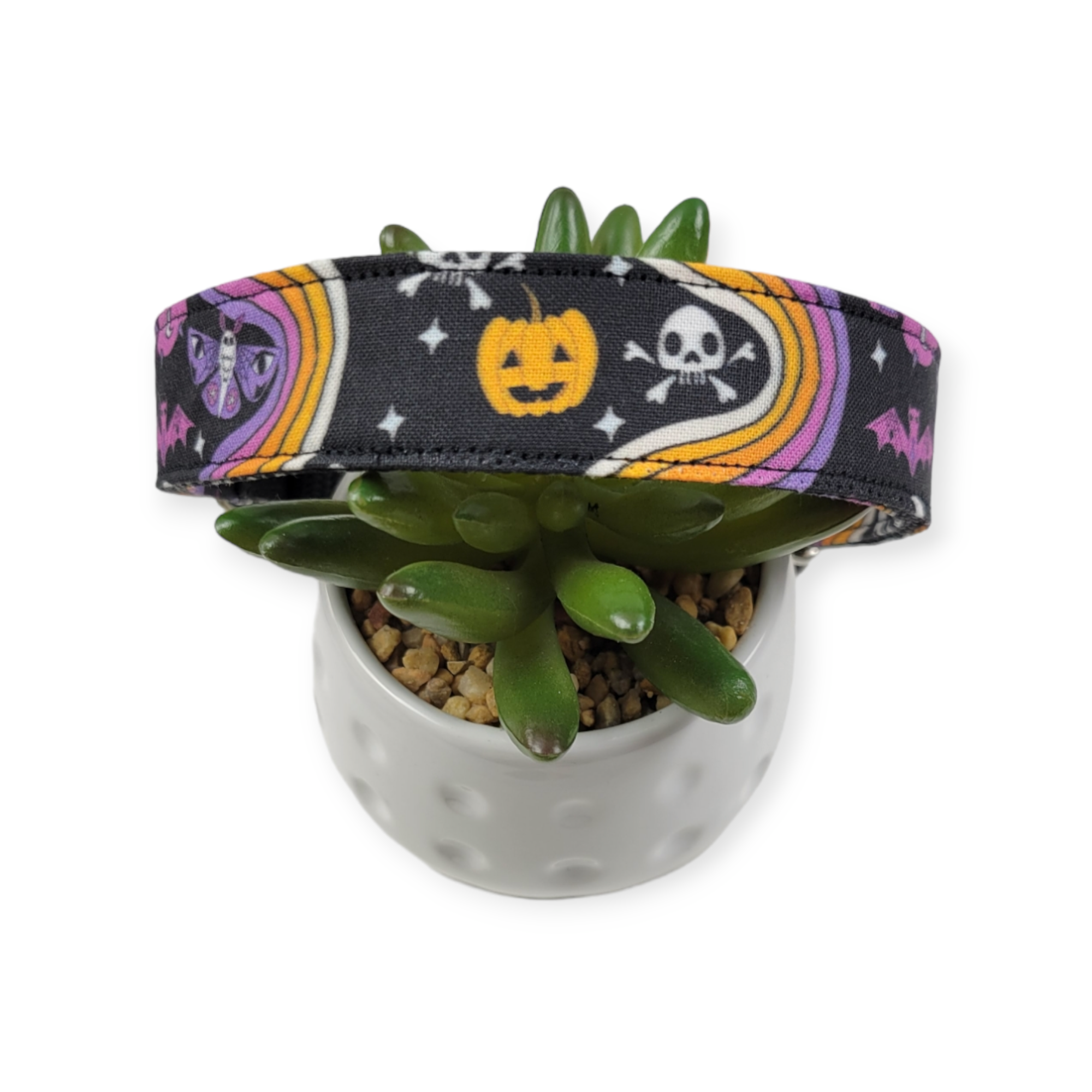 Halloween Rainbows Dog Collar (Large)