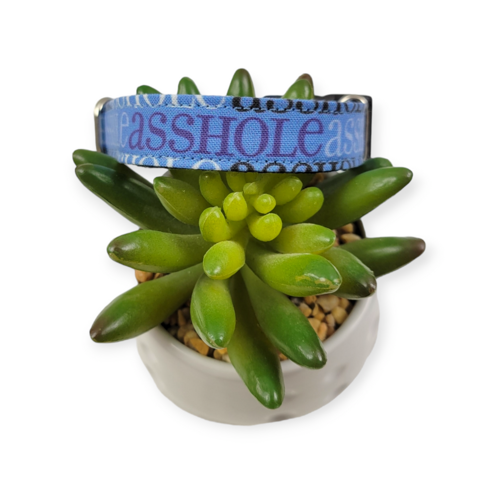A$$hole on Navy Dog collar (Small)