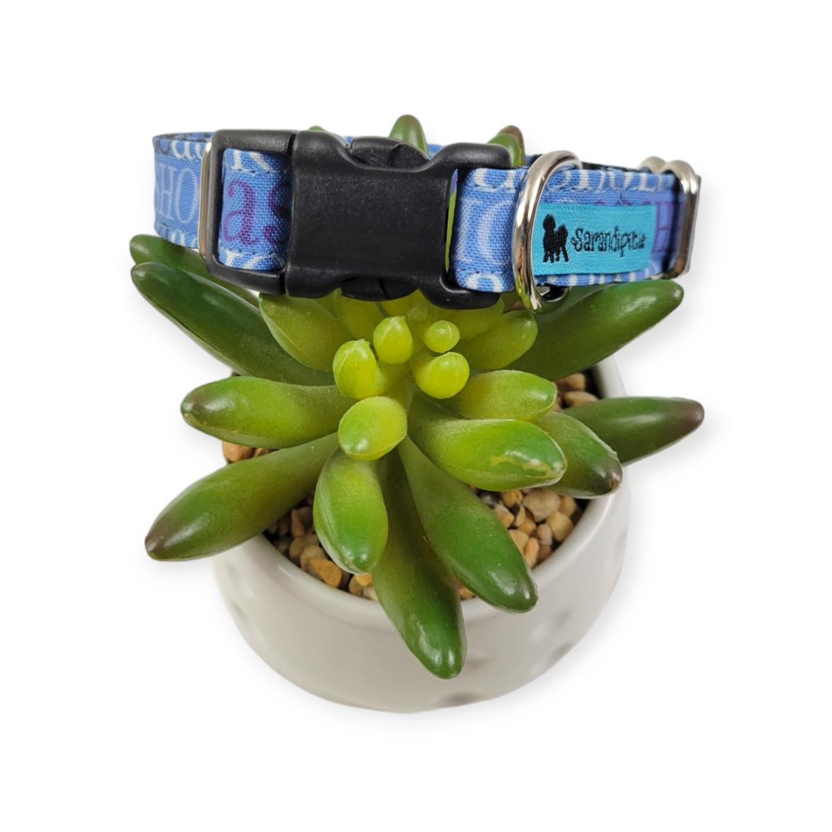 A$$hole on Navy Dog collar (Small)
