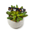 Ghosts & Pumpkins Kitty Collar (X-Small)