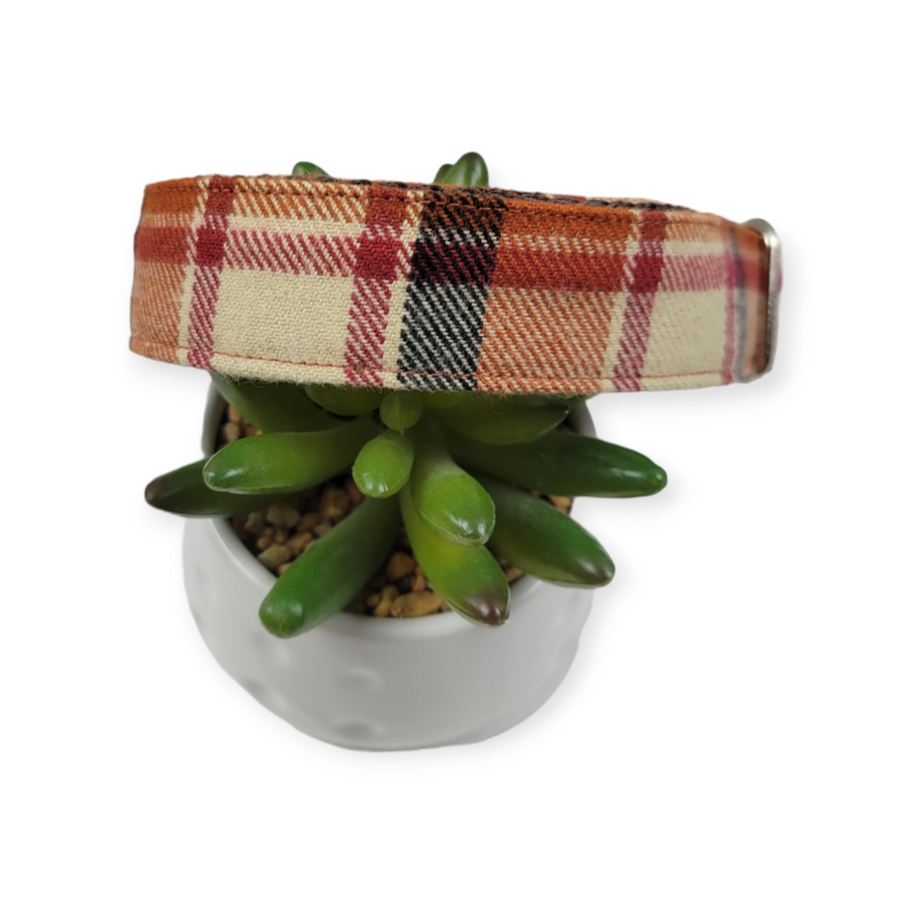 Fall Plaid Dog collar (Medium, 1" wide)