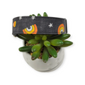 Candy Corn Rainbows Dog Collar (Large)