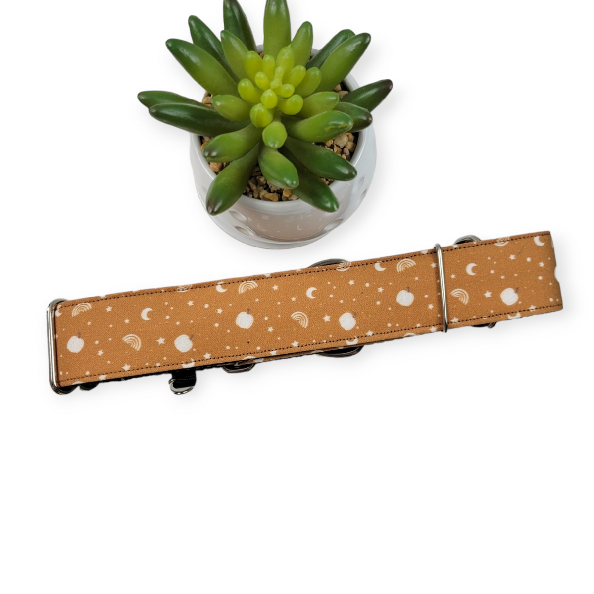 Fall Symbols Martingale Dog Collar (Large, 1.5" wide)