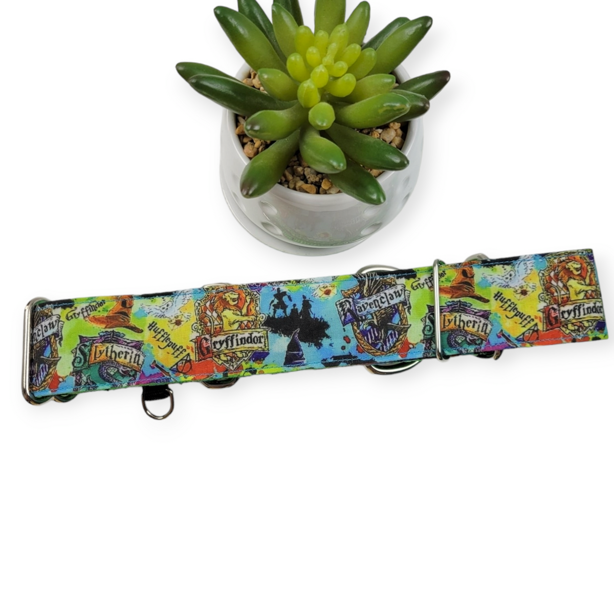 Wizard Watercolor Martingale Dog Collar (Large, 1.5" wide)