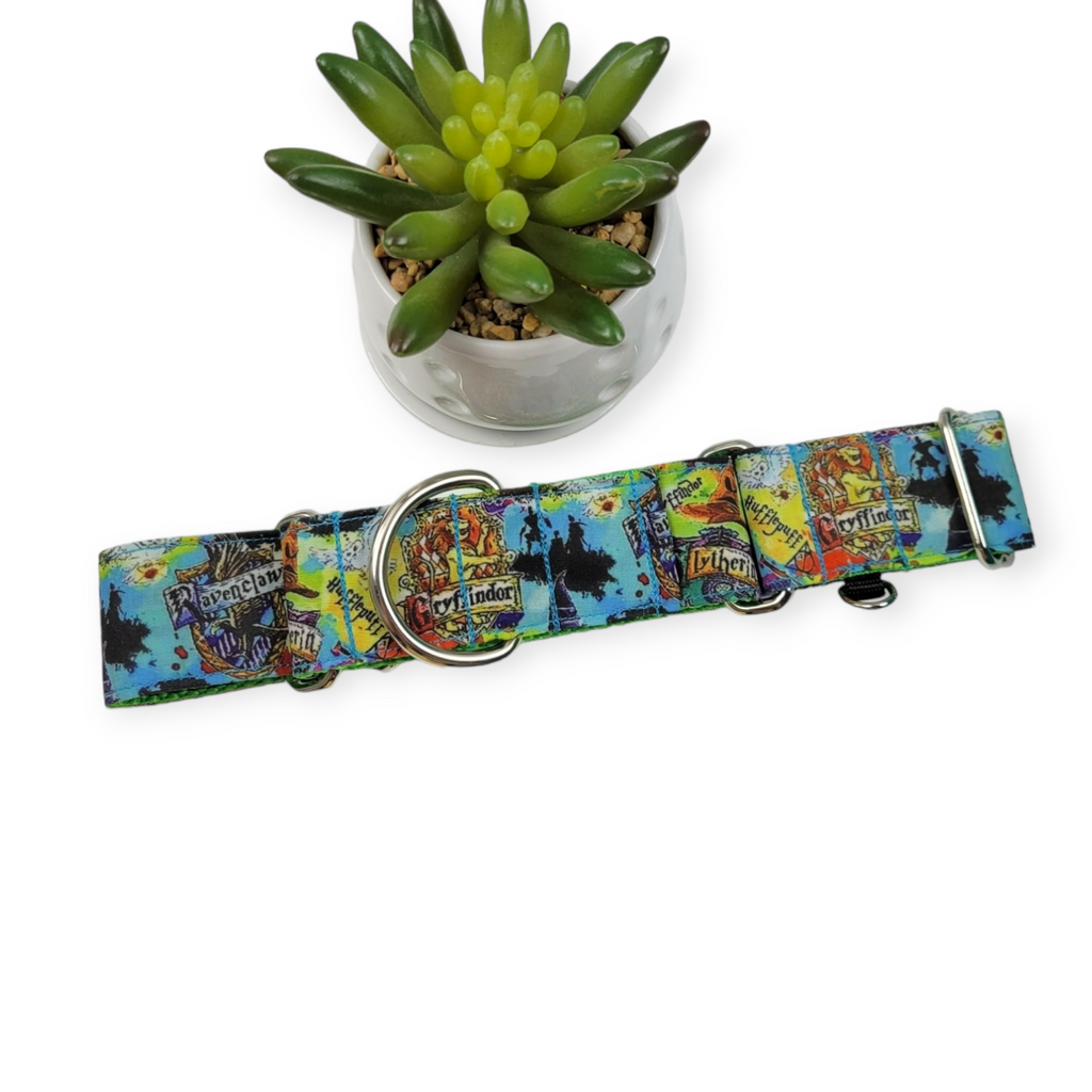 Wizard Watercolor Martingale Dog Collar (Large, 1.5" wide)
