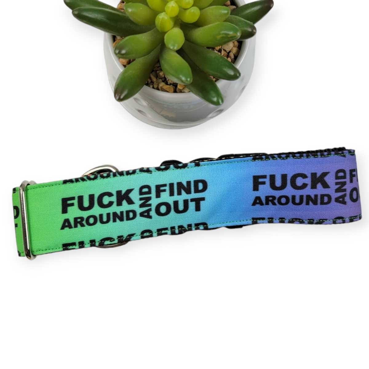 FAFO on Rainbow Dog Collar (Large, 1.5" wide)