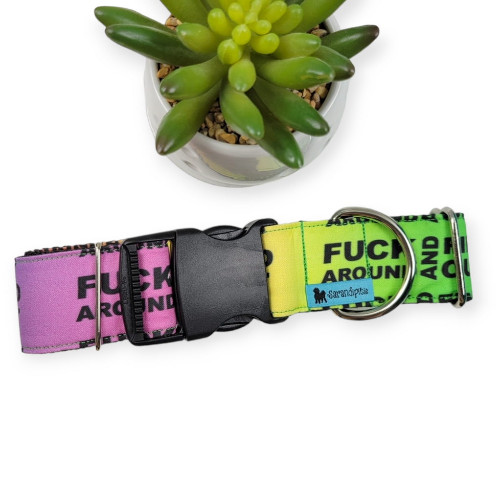 FAFO on Rainbow Dog Collar (Large, 1.5" wide)