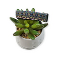 Neon Aztec Dog collar (Small)