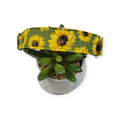 Sunflowers on Olive Martingale dog collar (Medium, 1" wide)