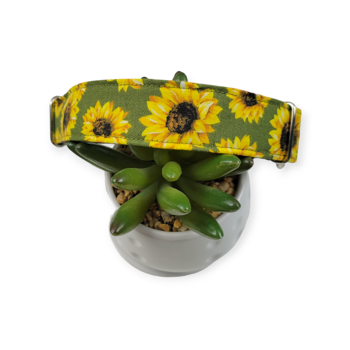 Sunflowers on Olive Martingale dog collar (Medium, 1" wide)