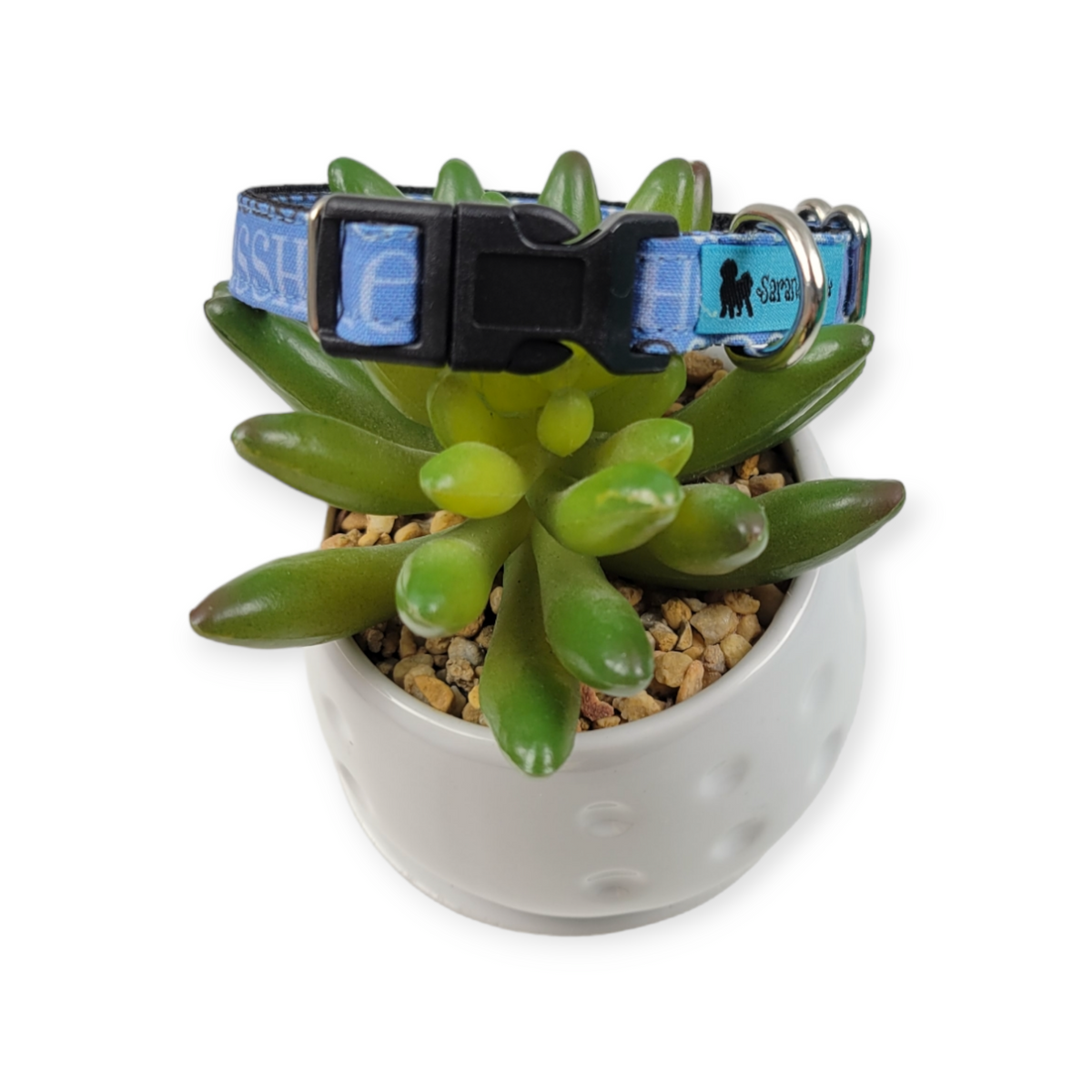 A$$hole on Navy dog collar (X-Small)