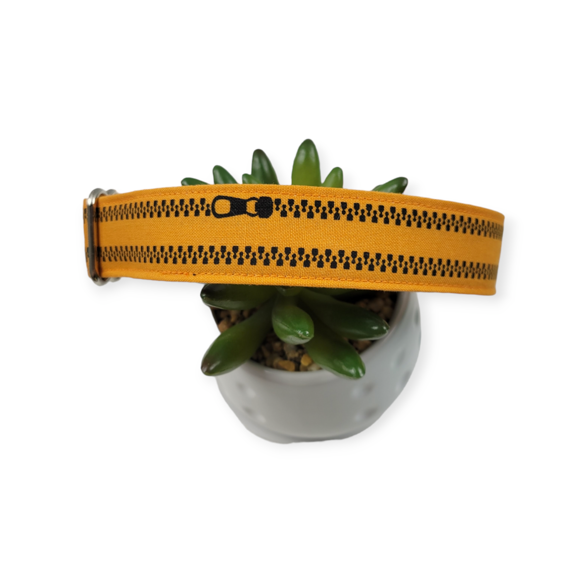 Zippers on Orange Dog Collar (Large)