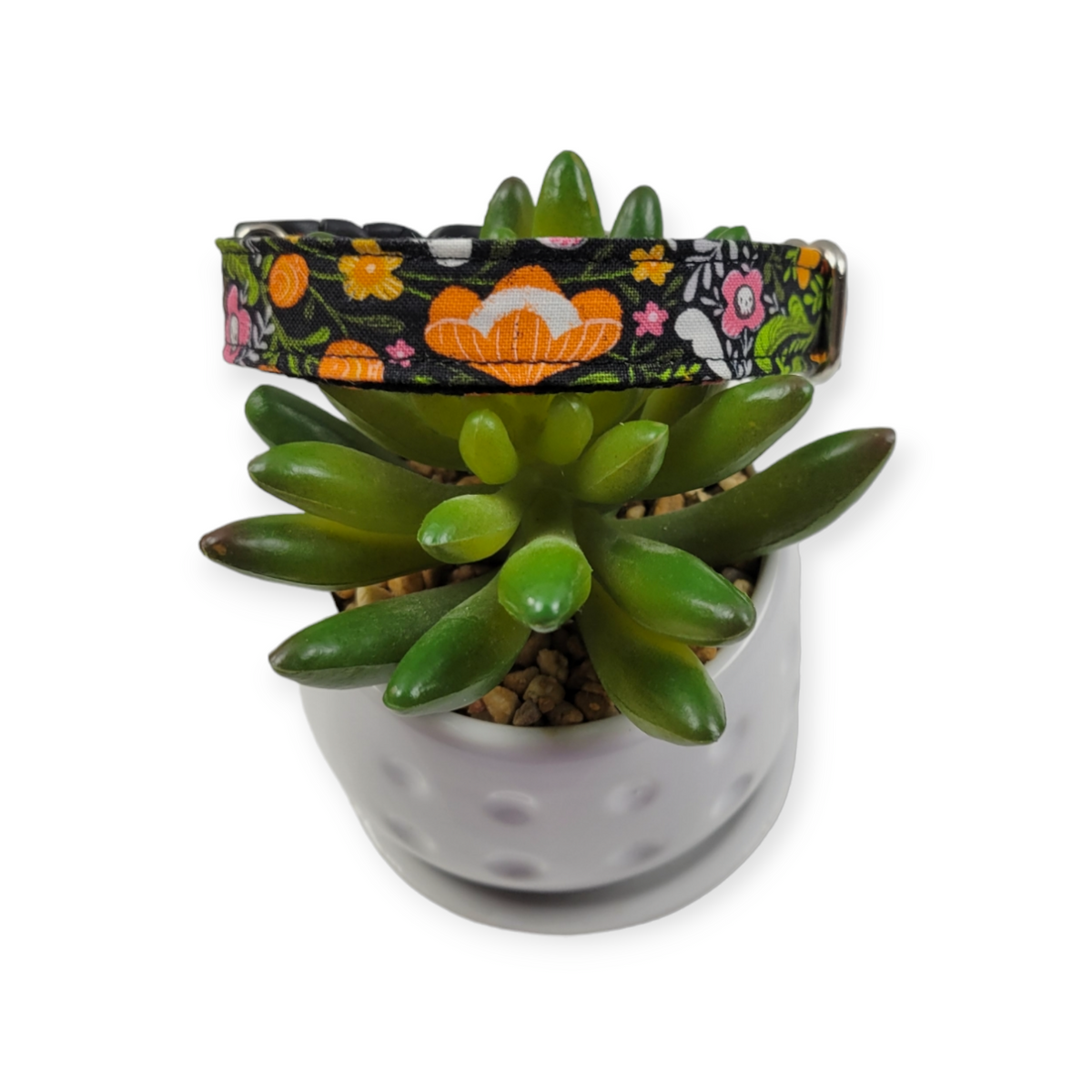 Pretty Creepy Dog collar (Small)