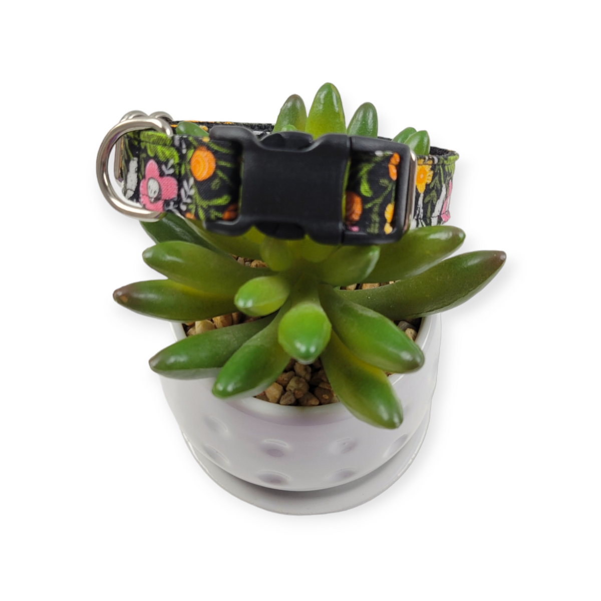 Pretty Creepy Dog collar (Small)